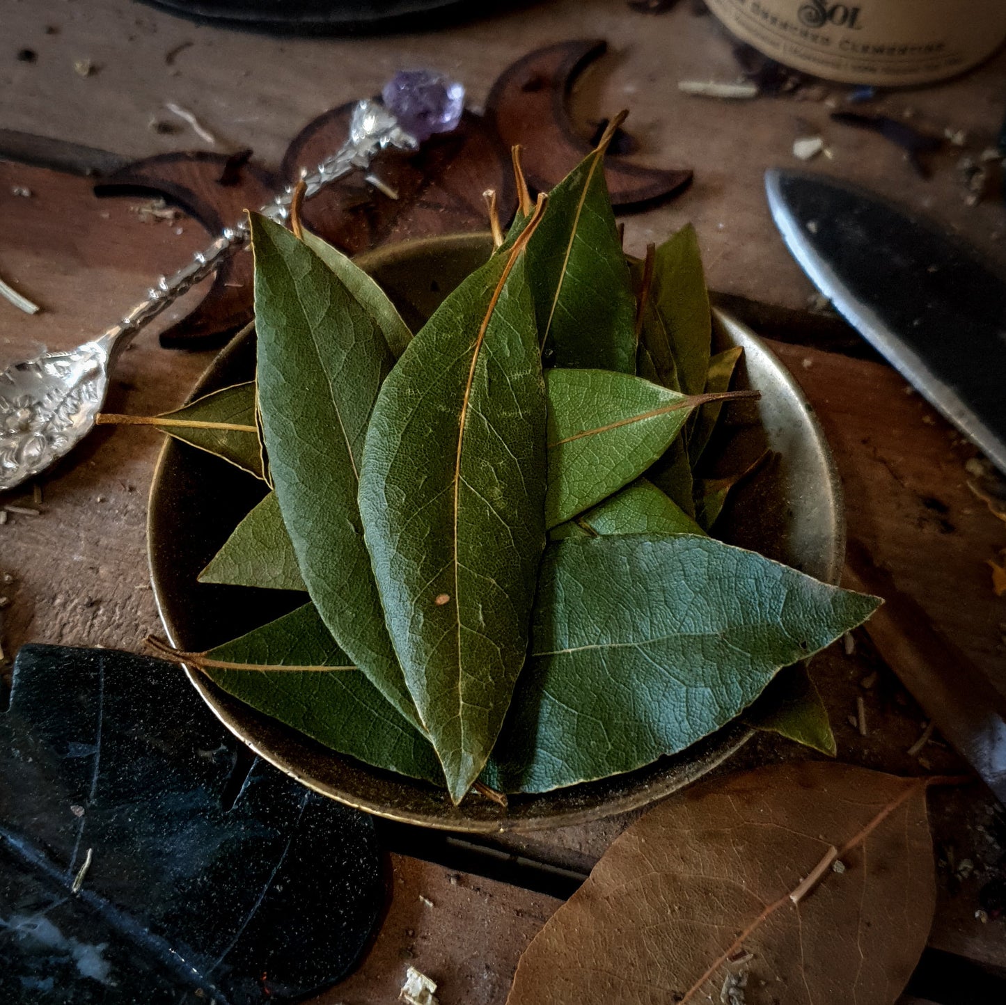 Bay Leaves