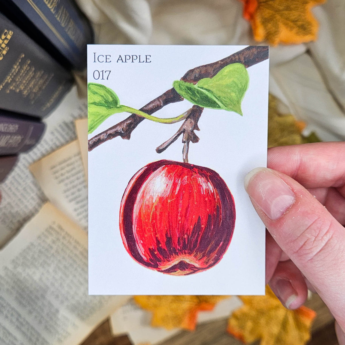 Ice Apple #4 | ACEO Art Print
