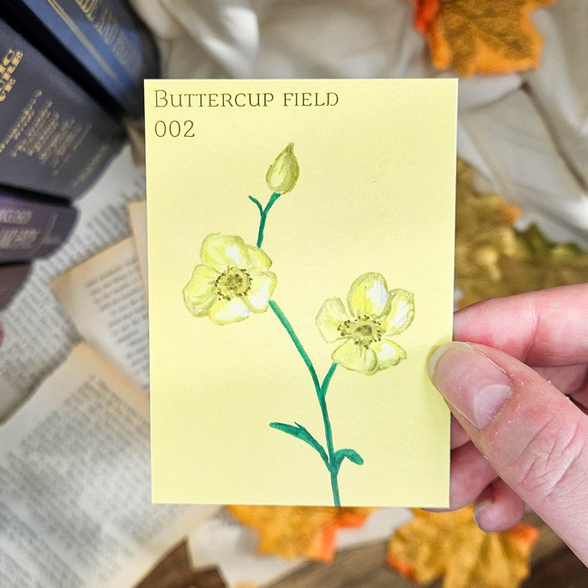Buttercup Field | ACEO Art Print