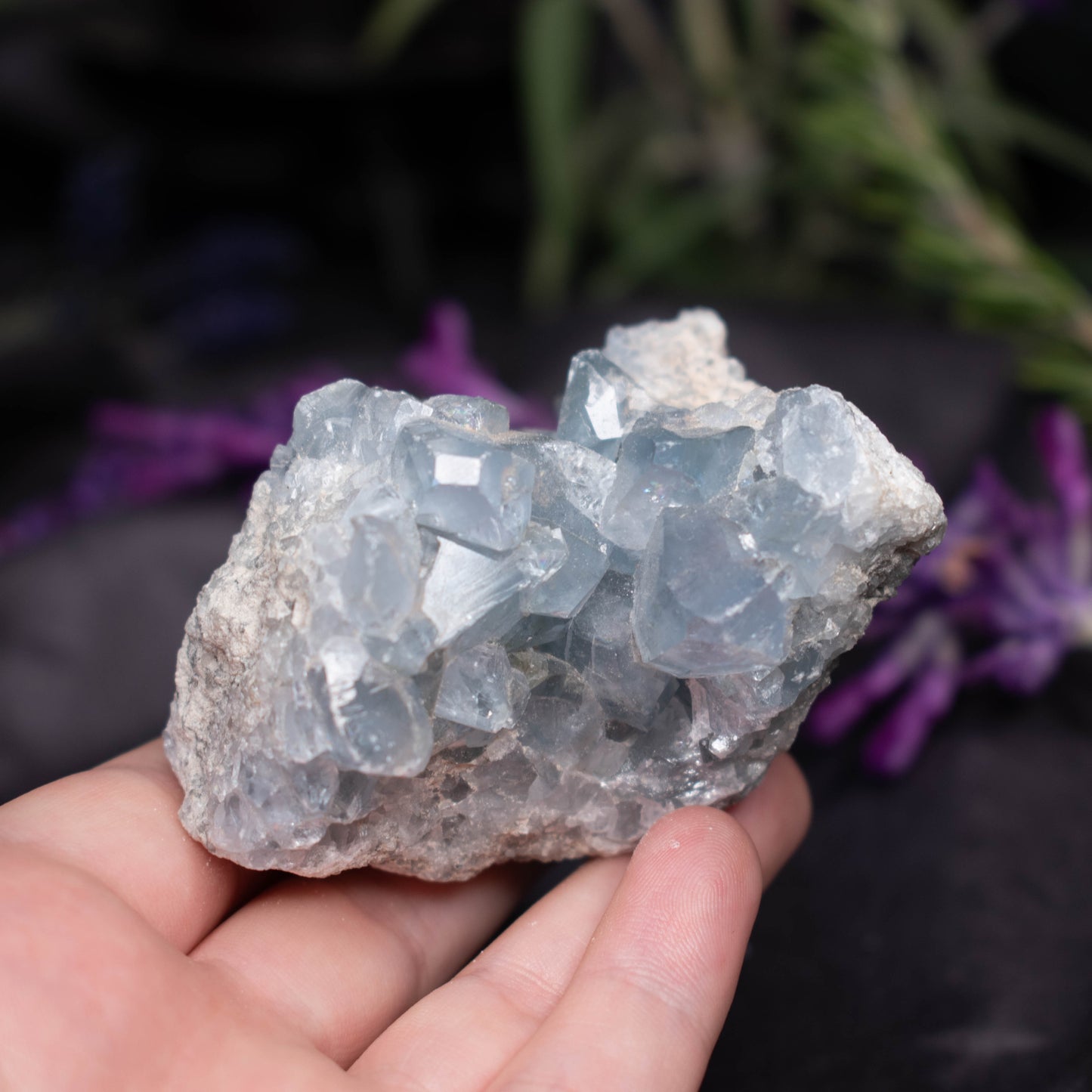 Celestite Clusters