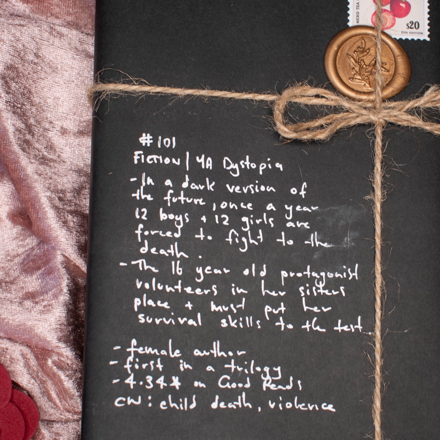 Blind Date #101 YA Dystopia | Fiction