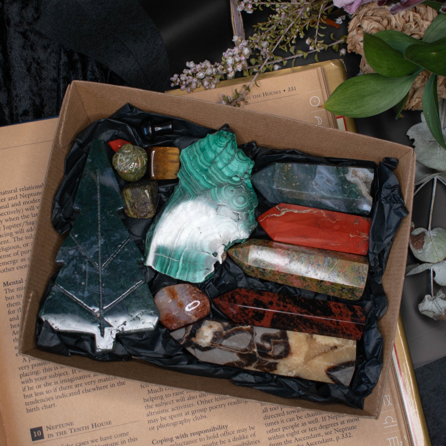 Forest Witch | Bulk Crystal Tray