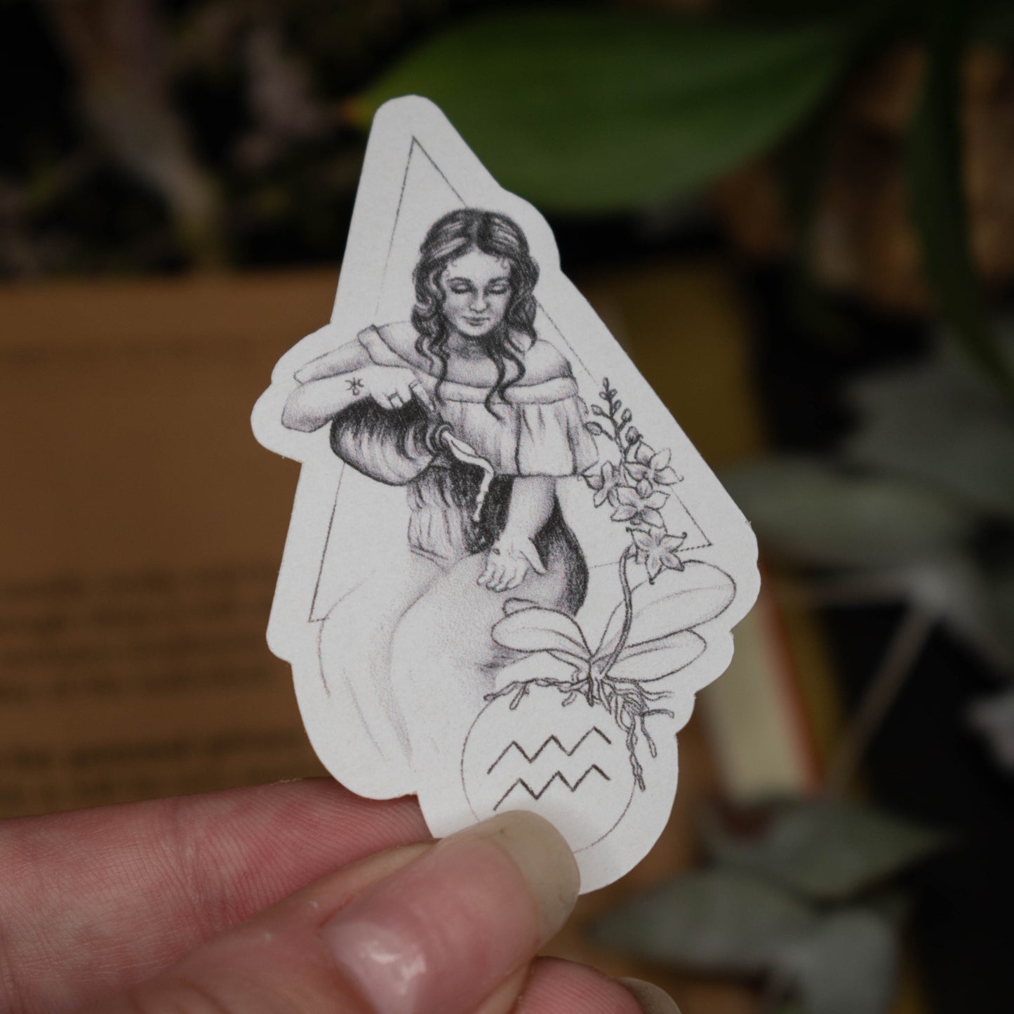 Aquarius Astrology Sticker