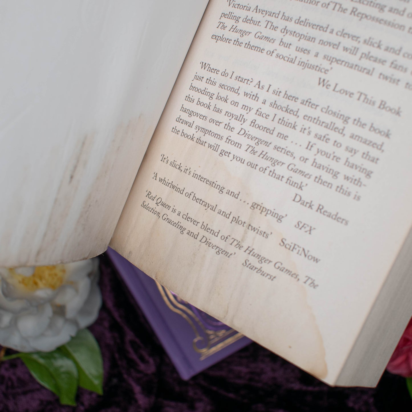 Red Queen | Free Little Library