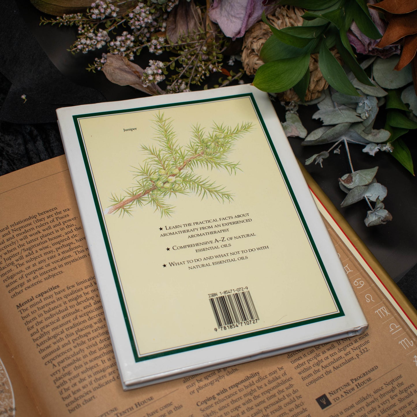 Herbs And Aromatherapy | Good