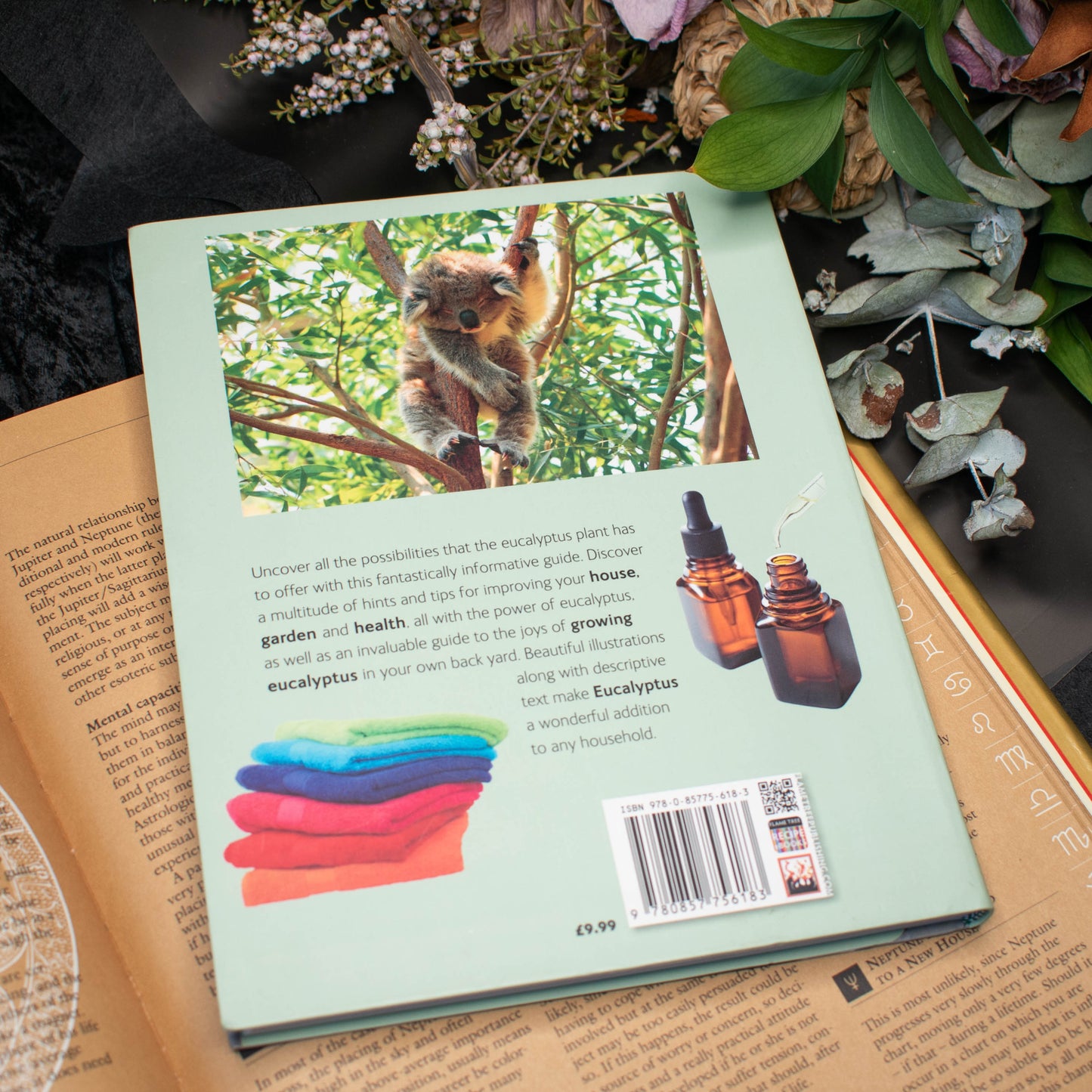 Eucalyptus: Hundreds of Household Uses | Like New