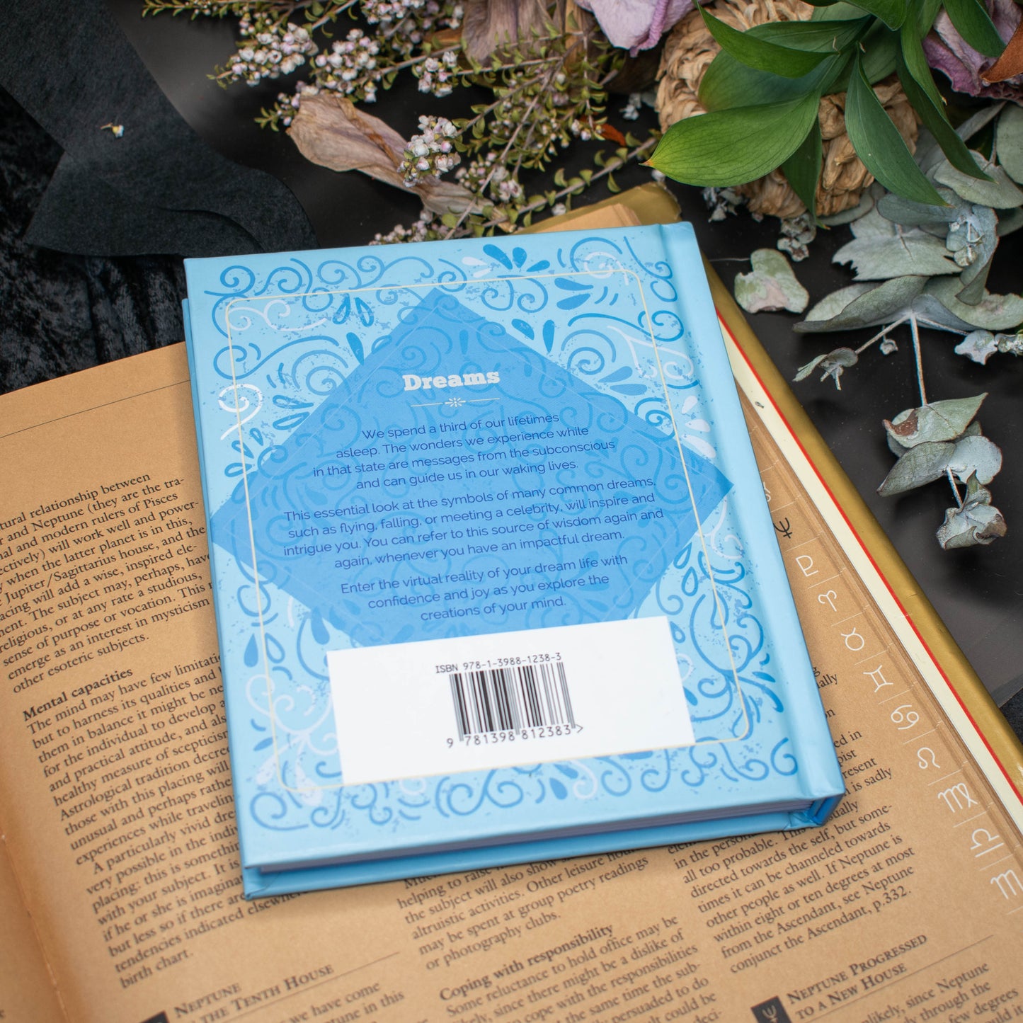 Dreams: Discover the Meanings of Your Nightly Journeys | Like New