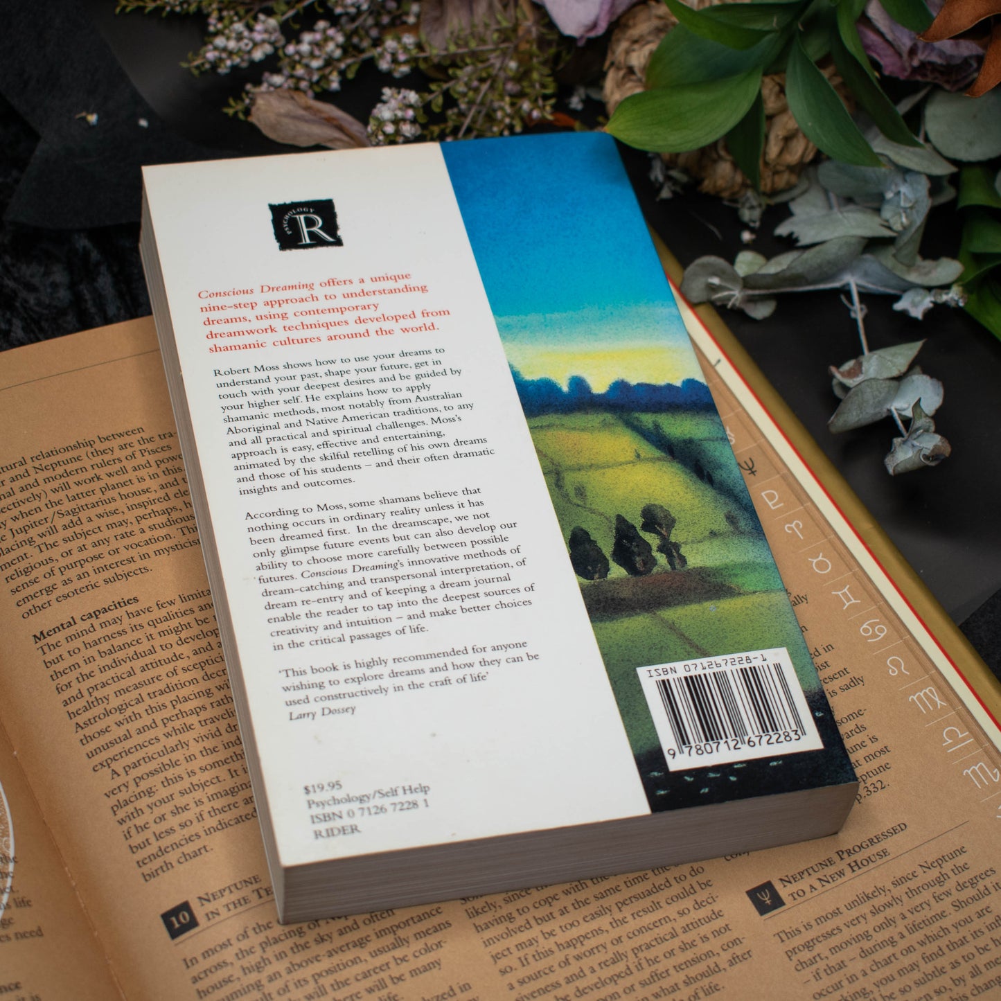 Conscious Dreaming: A Unique Nine-step Approach to Understanding Dreams | Good