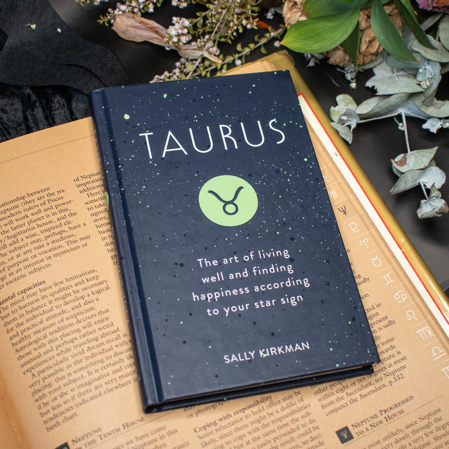 Taurus | Very Good