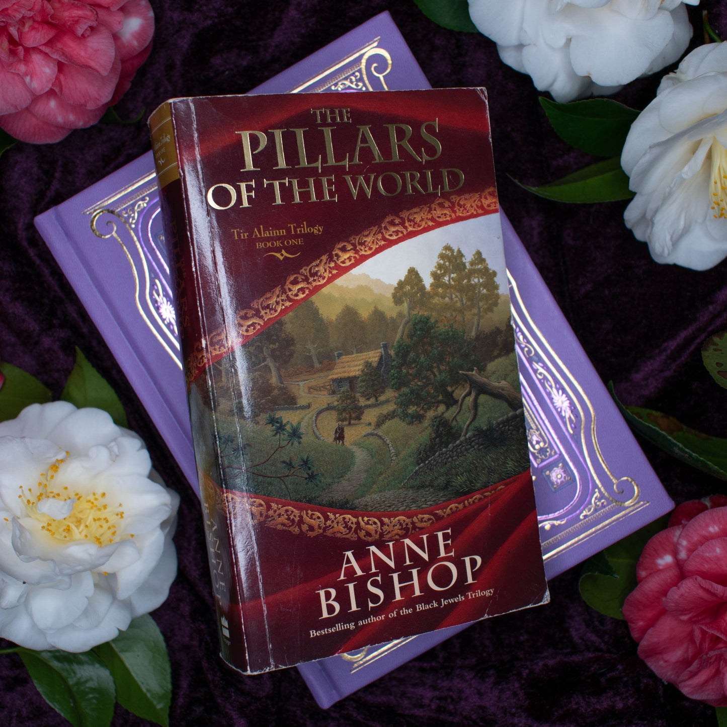 The Pillars of the World | Free Little Library