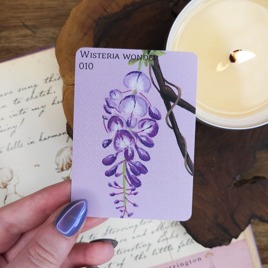 Wisteria Wonder | ACEO Art Print
