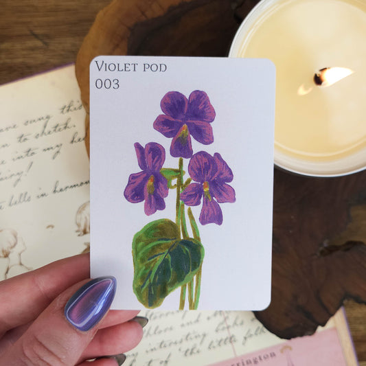 Violet Pod | ACEO Art Print