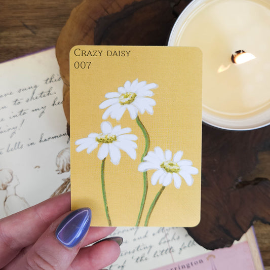 Crazy Daisy | ACEO Art Print