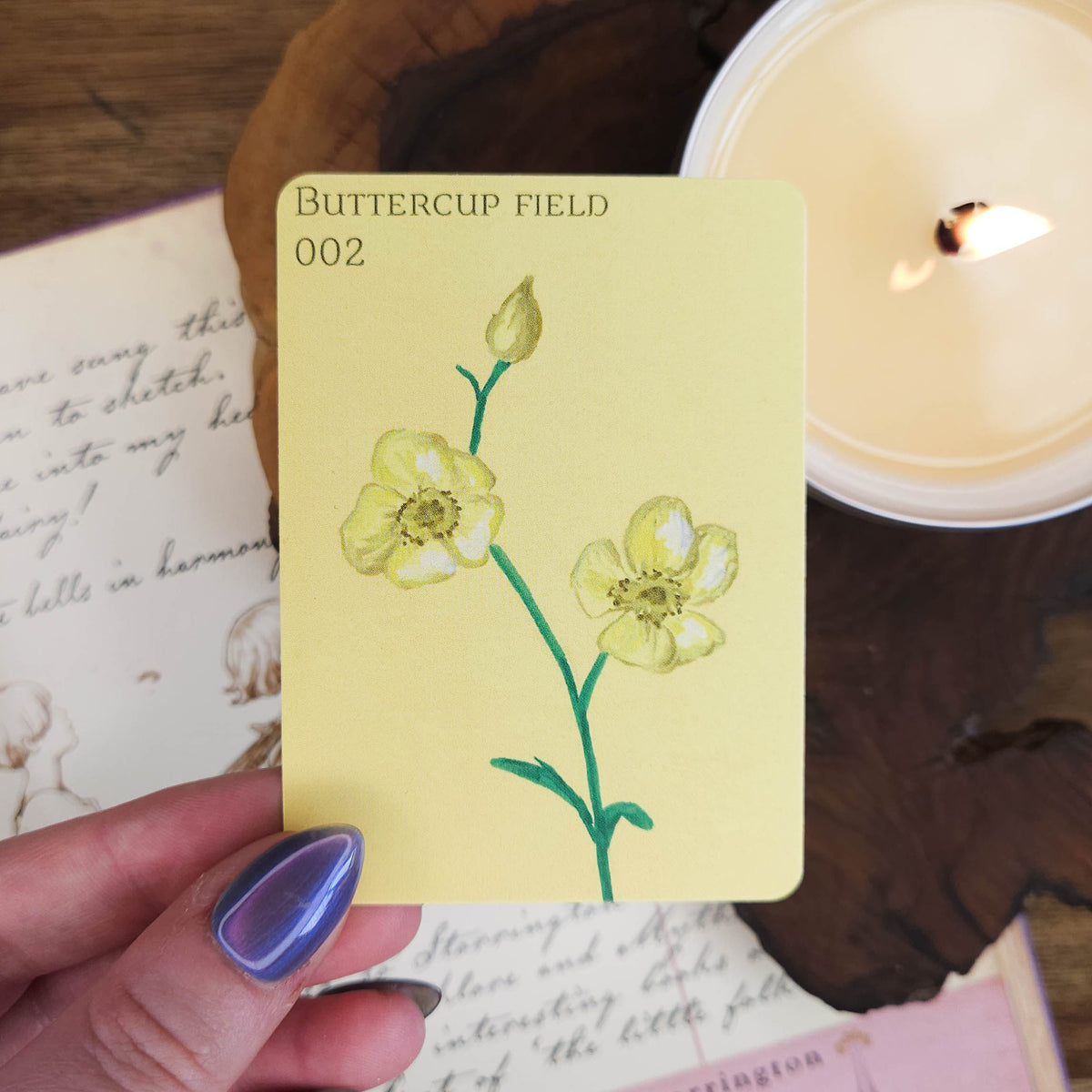 Buttercup Field | ACEO Art Print