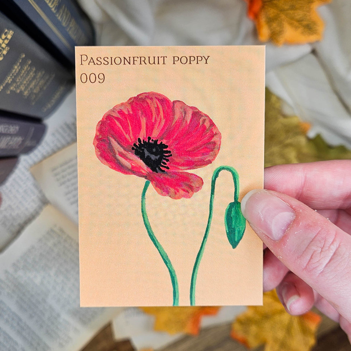 Passionfruit Poppy | ACEO Art Print