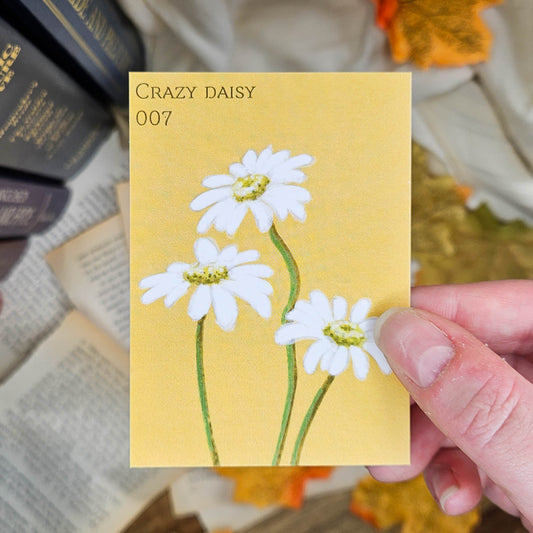 Crazy Daisy | ACEO Art Print
