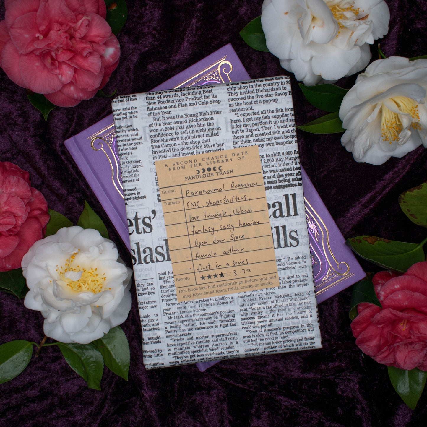 Paranormal Romance | Second Chance Date #52