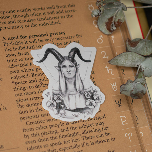 Capricorn Astrology Sticker