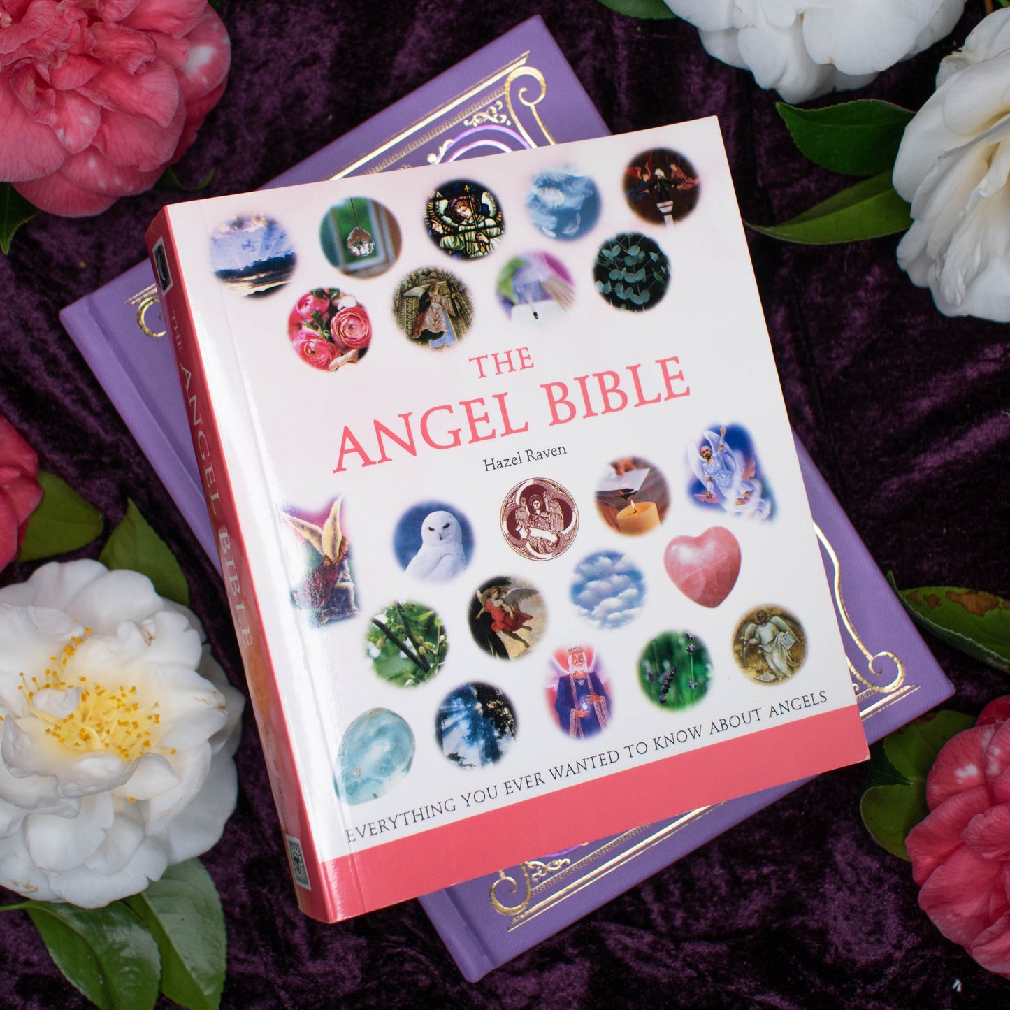 The Angel Bible | Very Good