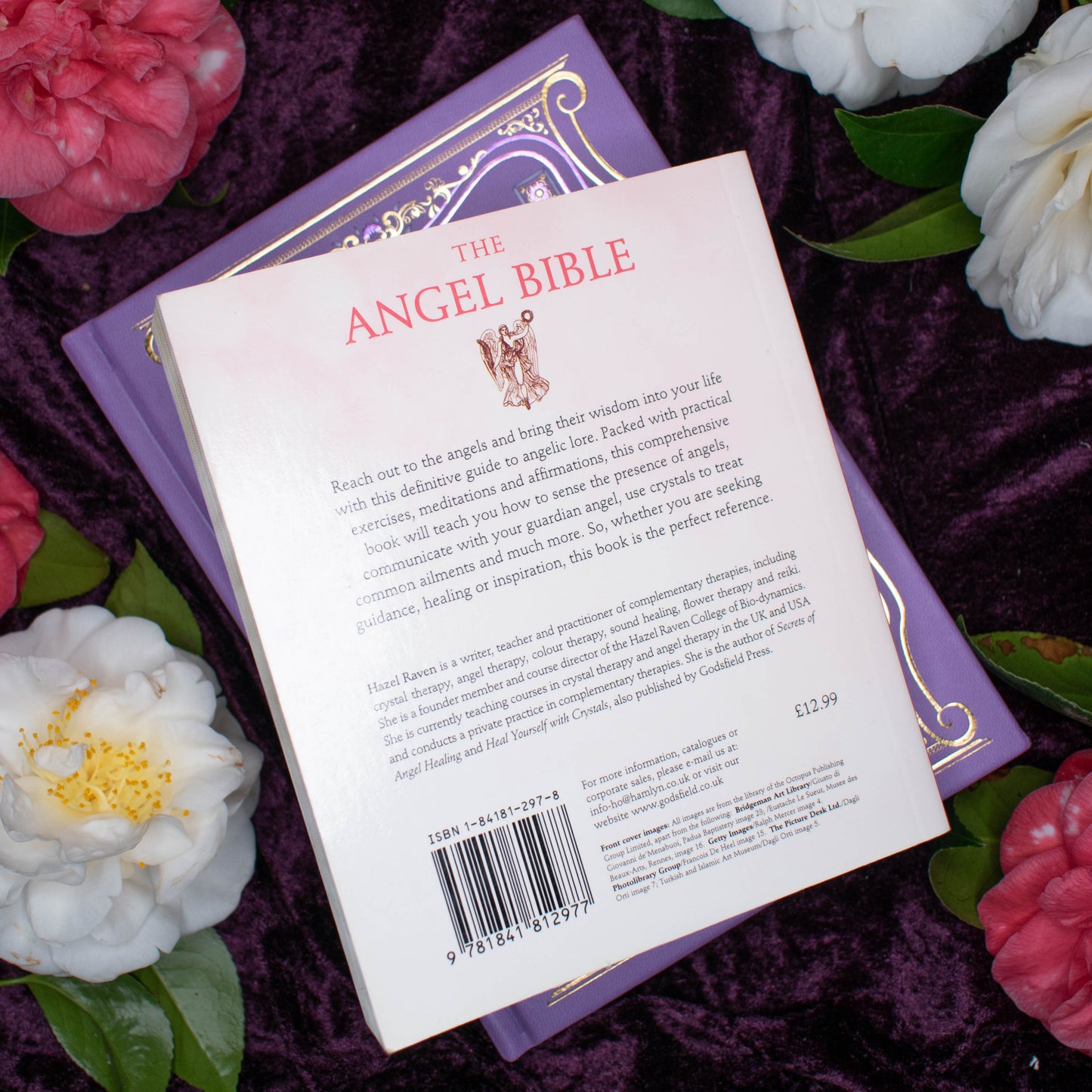 The Angel Bible | Very Good