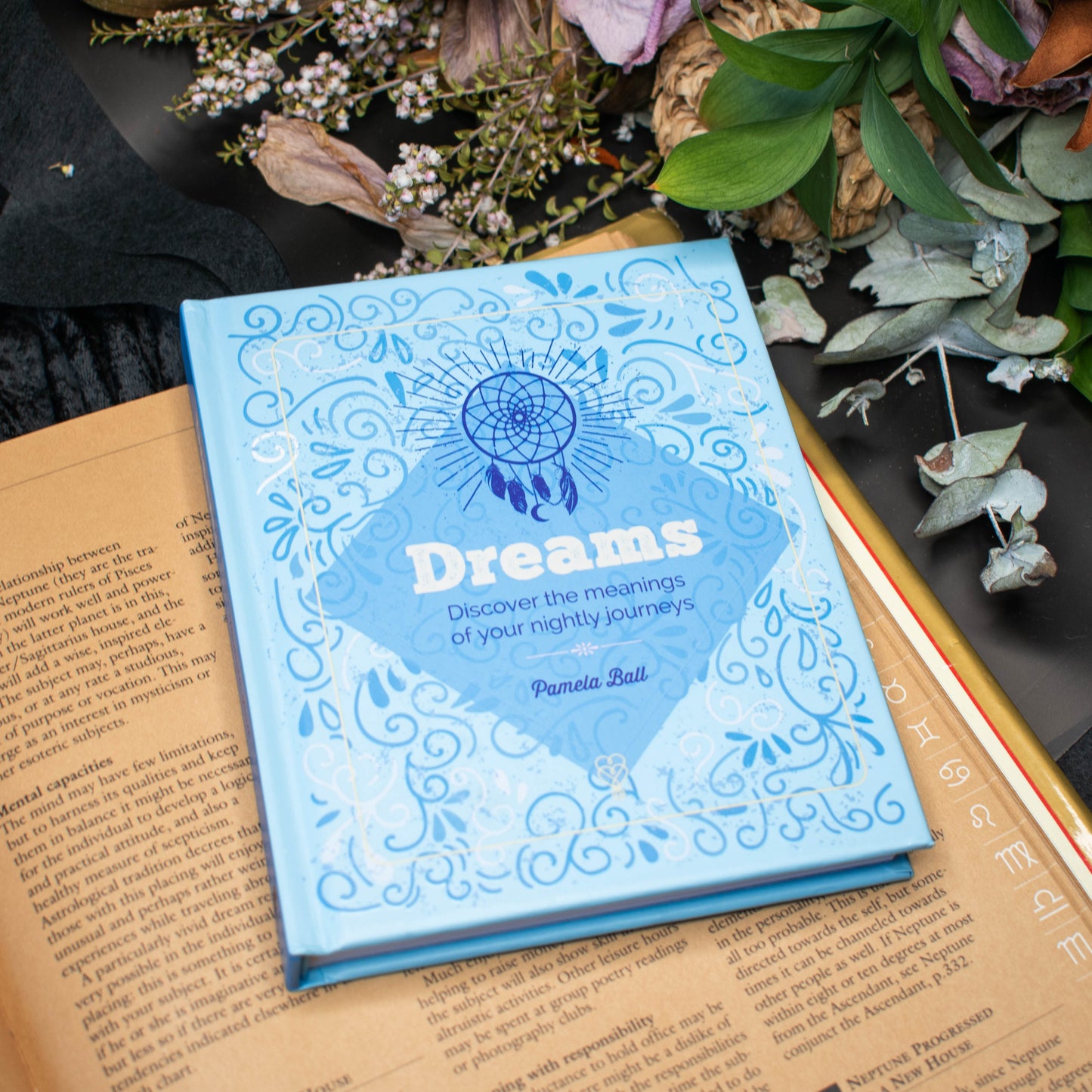 Dreams: Discover the Meanings of Your Nightly Journeys | Like New
